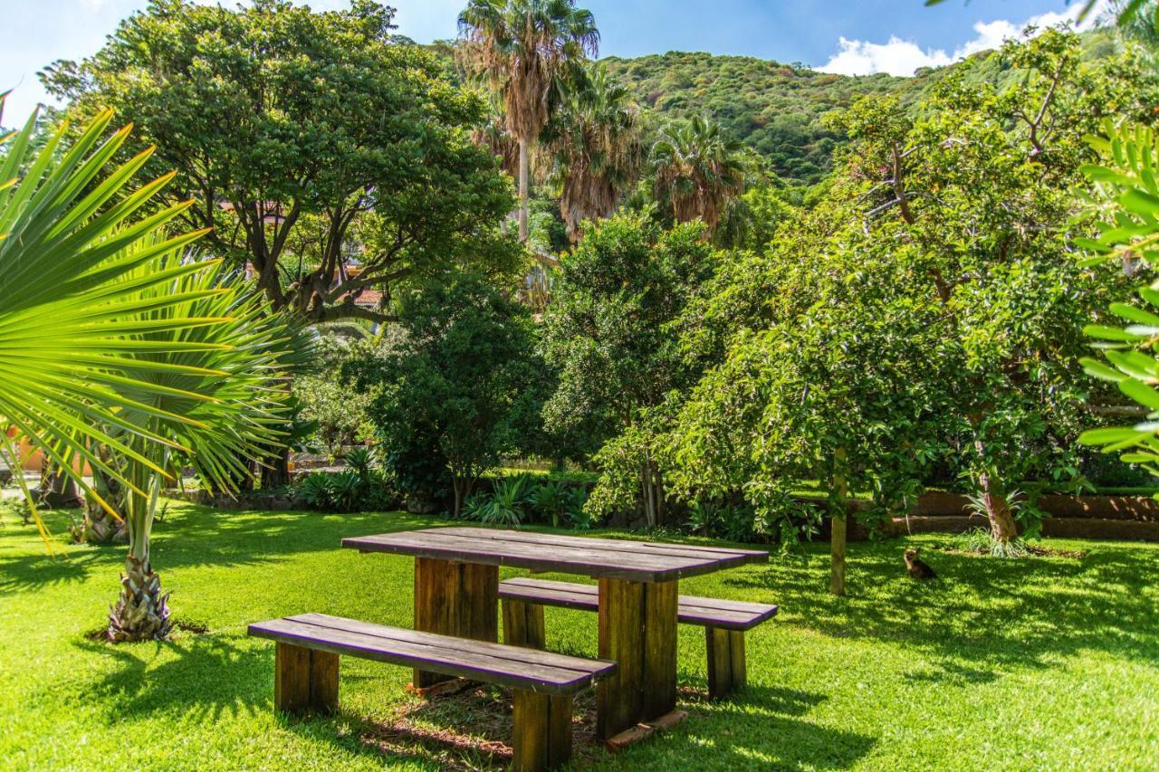 Casa Galeana- Tropical 1-Bd 1-Wc Mountain Top Luxury Suite With Stunning Views Ajijic Eksteriør bilde