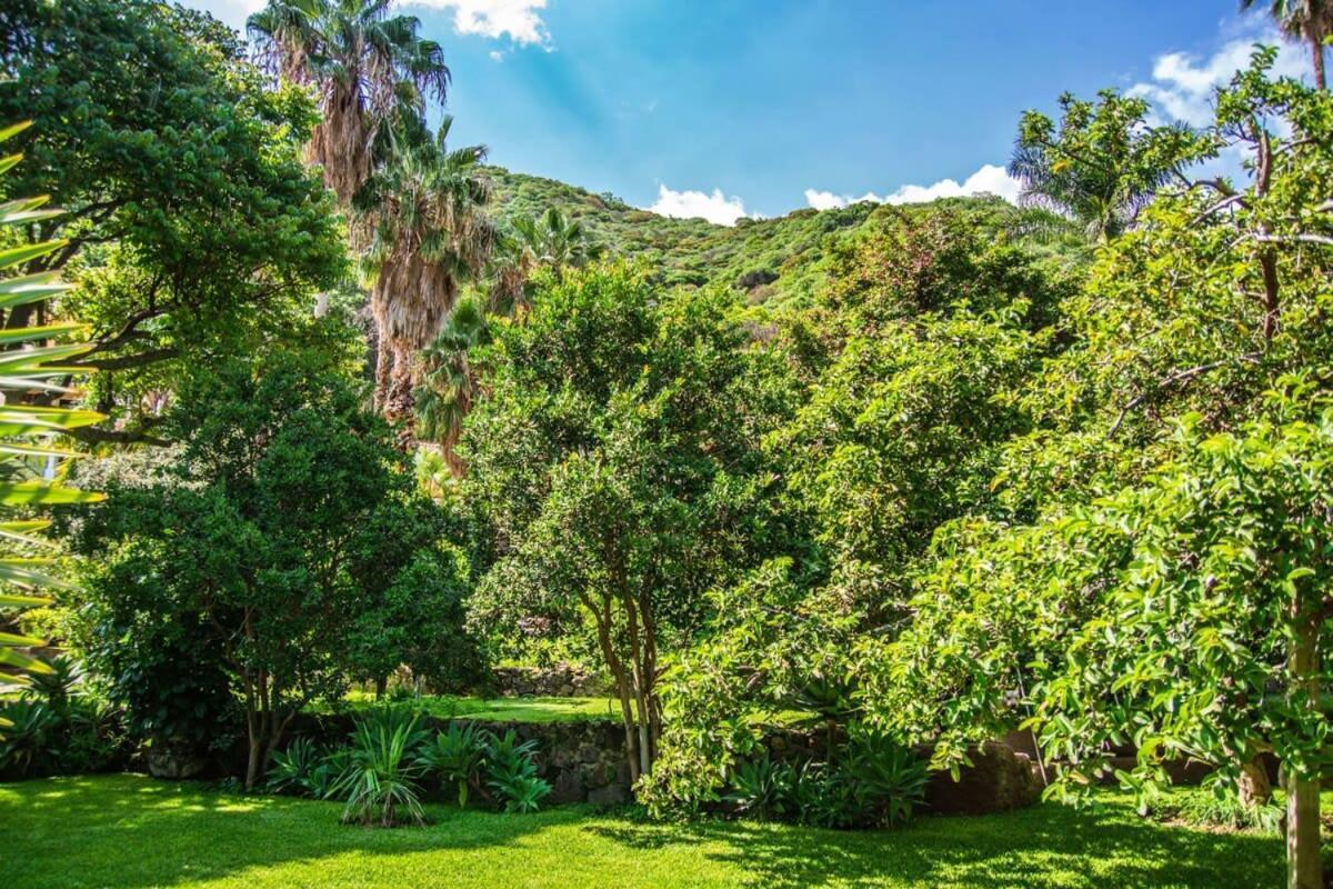 Casa Galeana- Tropical 1-Bd 1-Wc Mountain Top Luxury Suite With Stunning Views Ajijic Eksteriør bilde
