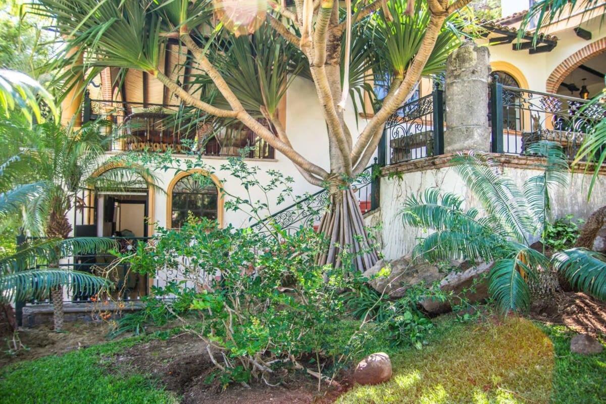 Casa Galeana- Tropical 1-Bd 1-Wc Mountain Top Luxury Suite With Stunning Views Ajijic Eksteriør bilde